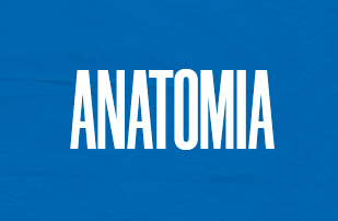 Anatomia