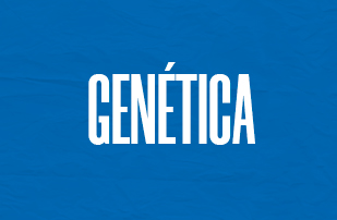 Genética