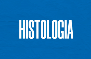 Histologia